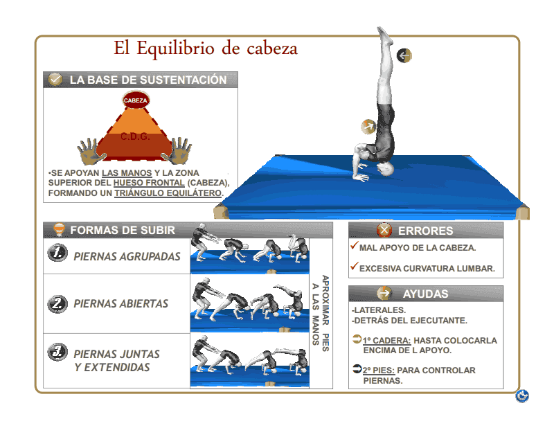 ACTIVIDAD